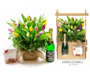 Krabice nacpaná tulipány