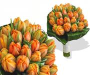 Svatební tulipány