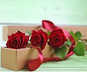 Rudé růže v krabici